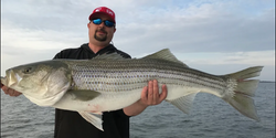 Trophy Striped Bass Catch at Maryland